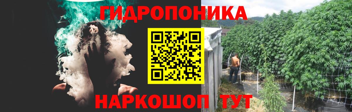Каннабис THC 21%  Шишки марихуана план  Бошки Шишки марихуана  Петровск  Вход с VPN  Марихуана MAZAR 